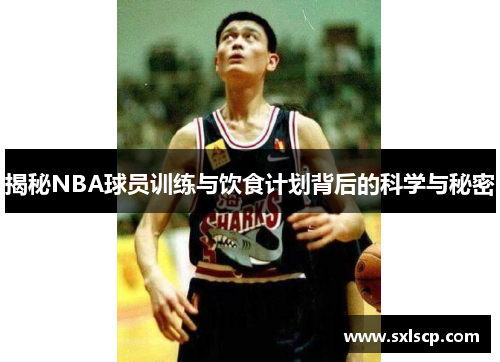揭秘NBA球员训练与饮食计划背后的科学与秘密