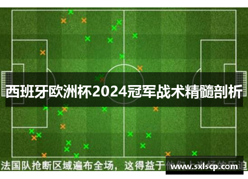 西班牙欧洲杯2024冠军战术精髓剖析